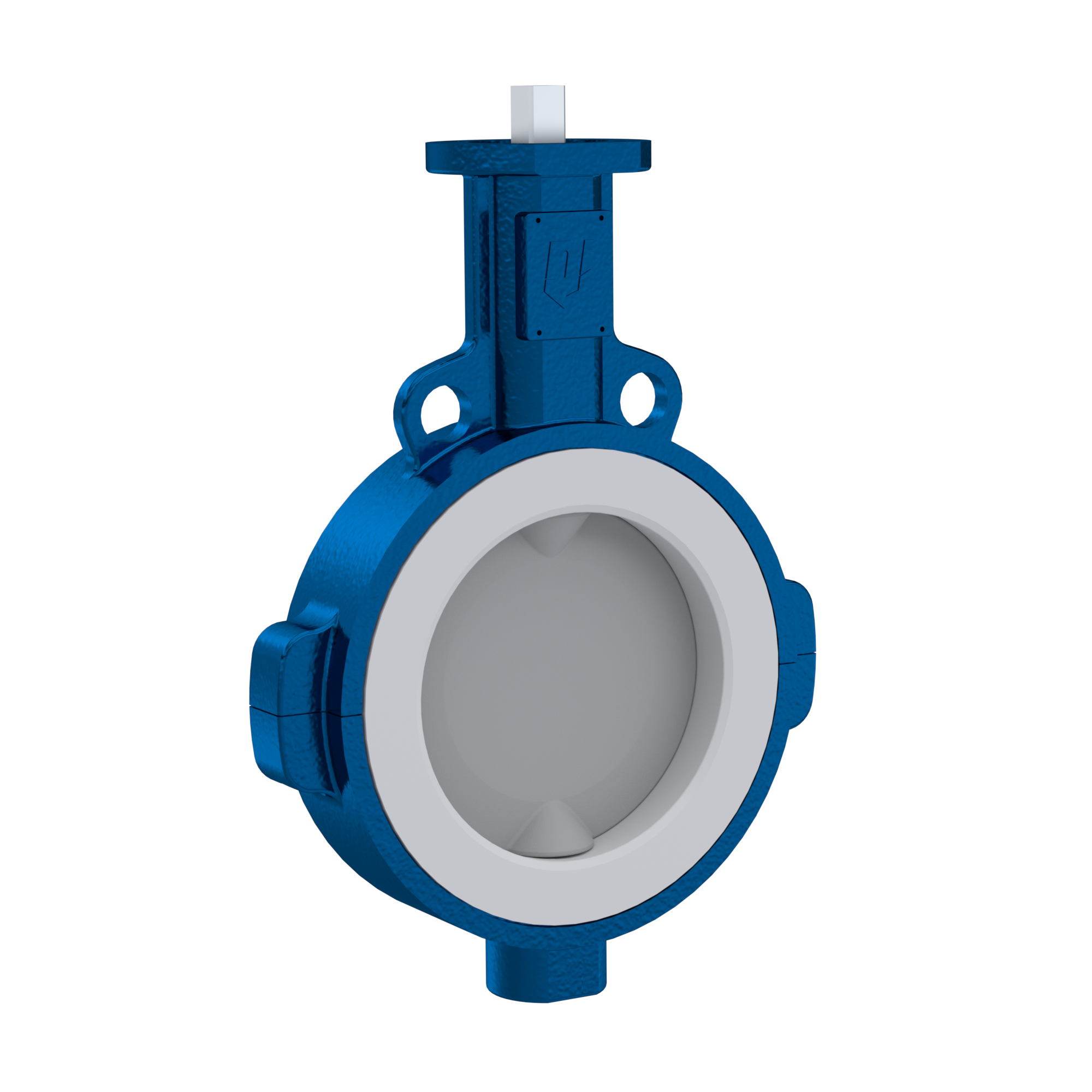 Pfa Butterfly Valve Ptfe Ak Dn Ansi Fkm Insert