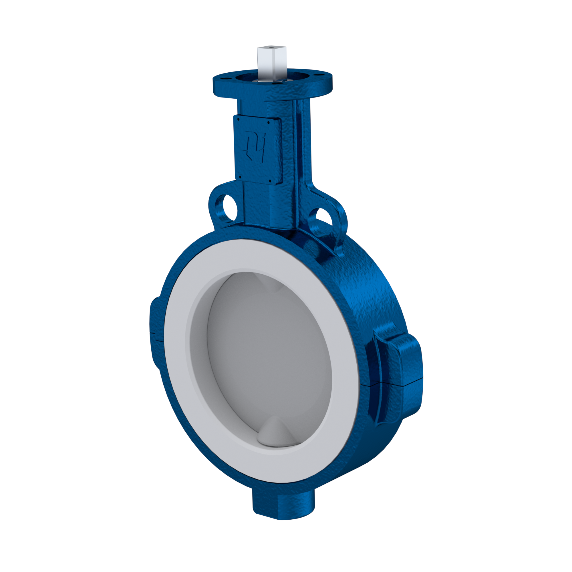 Butterfly Valve Ptfe Ak Dn Ansi Epdm Insert