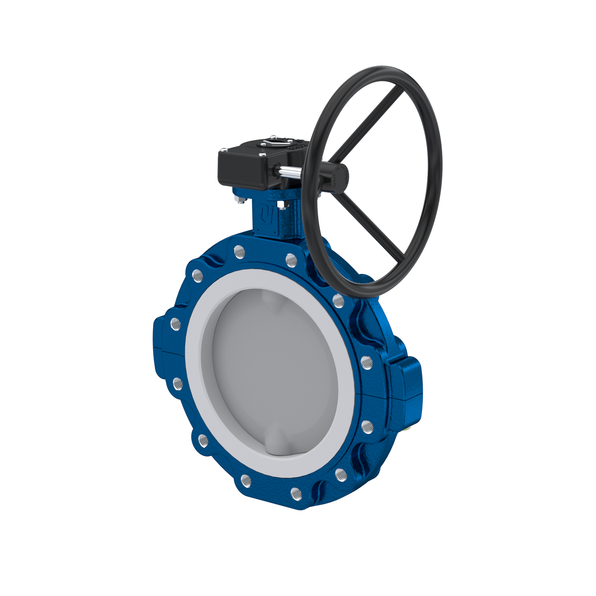 Butterfly-valve PTFE AK10 DN250 ANSI150 handwheel gearbox EPDM insert