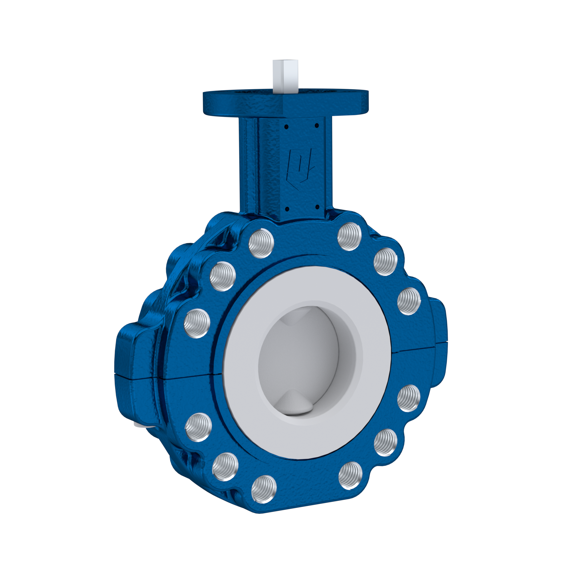 PFA-Butterfly-valve PTFE AK10 DN65 PN10-PN16 EPDM insert