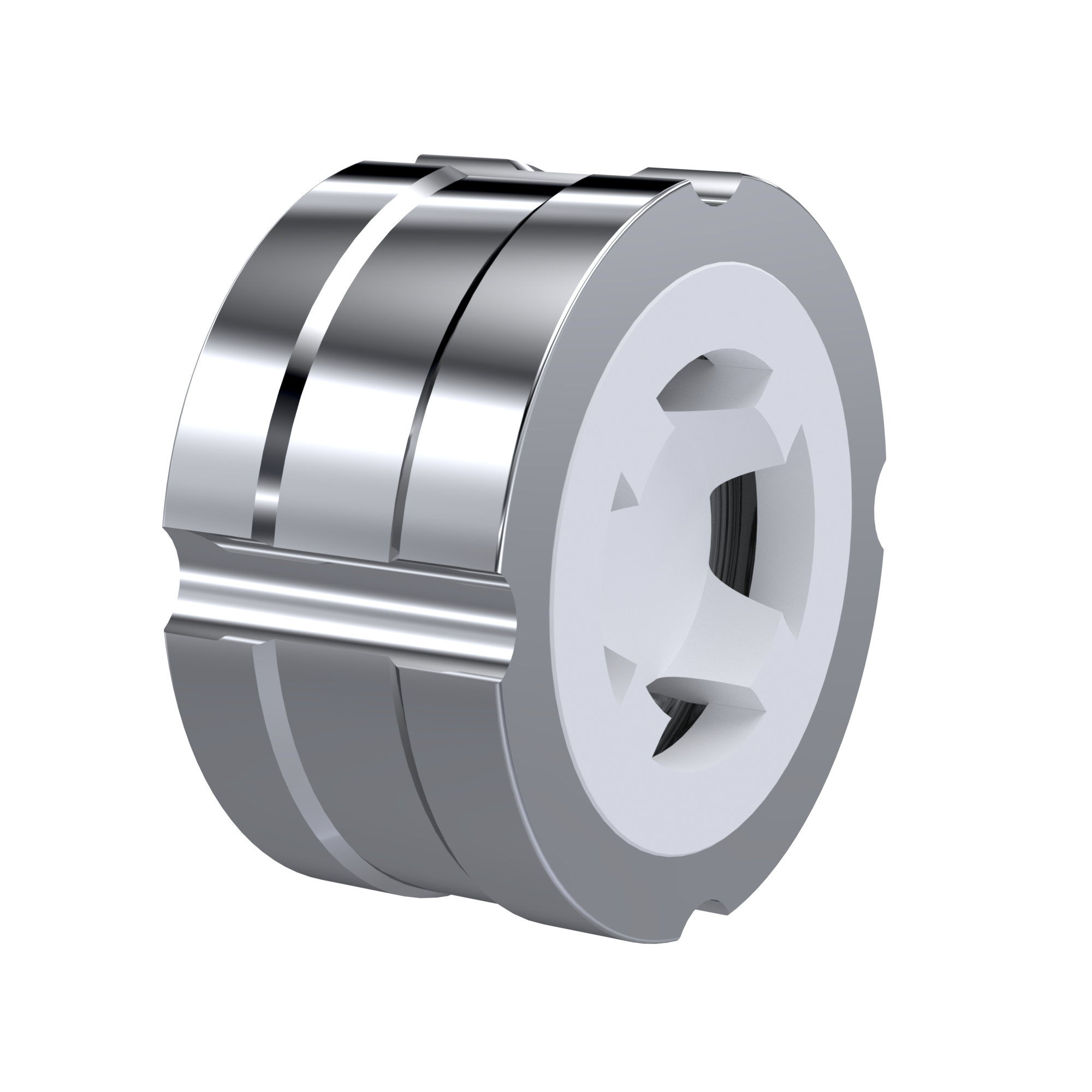 PTFE-Rückschlagventil DN25 - 1" Zoll PN10 DIN EN 1092-1